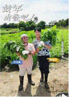 双男主小说免费阅读《春日请回答》封面
